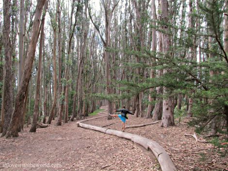 Lover's Lane |inlovewiththeworld.com