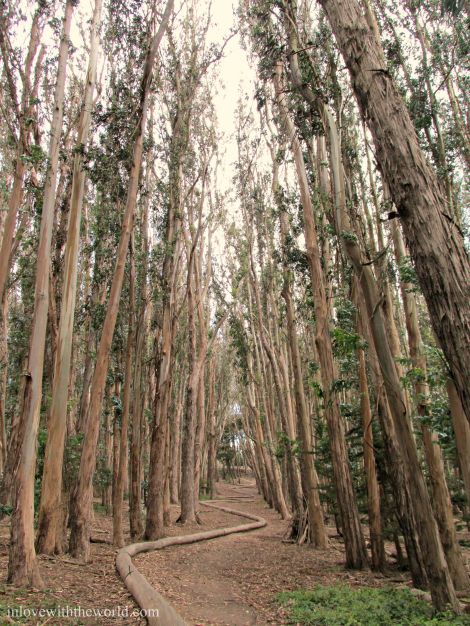 Lover's Lane |inlovewiththeworld