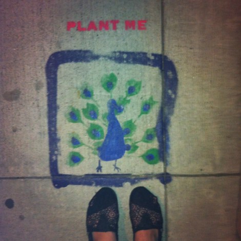 Plant Me | Feet Friday | inlovewiththeworld.com