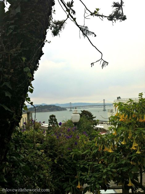 Bay Bridge View from Coit Tower Steps | inlovewiththeworld.com