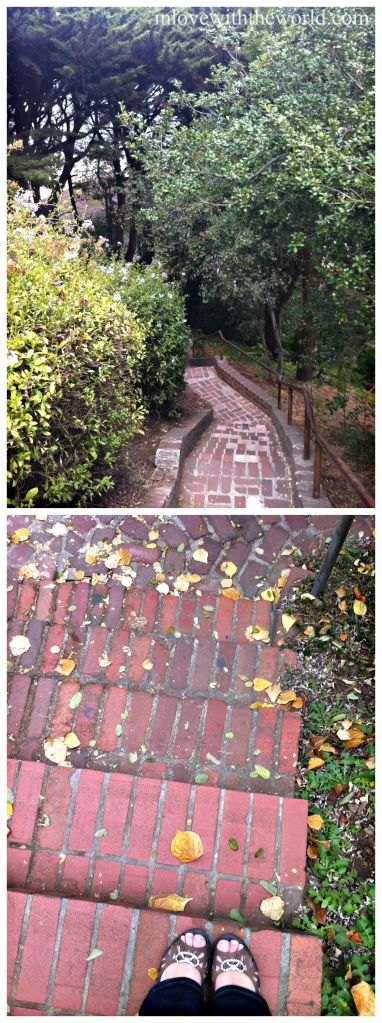 Brick Steps @ Coit Tower | inlovewiththeworld