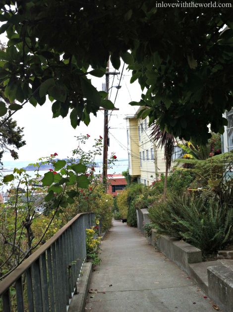 Cat @ Greenwich Steps | inlovewiththeworld.com