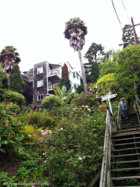 Napier Lane | inlovewiththeworld