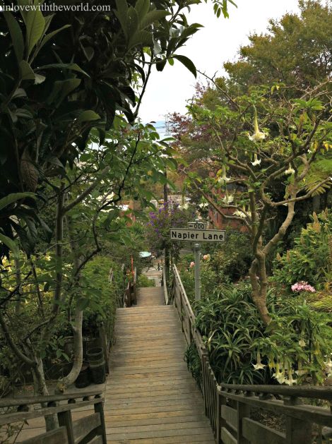 Napier Lane View | inlovewiththeworld.com