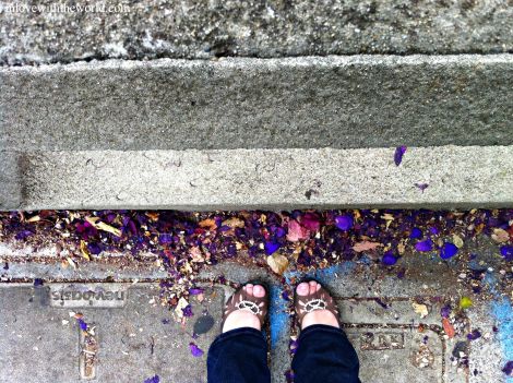 Purple Flowers @ Coit Tower | Feet Friday  inlovewiththeworld.com