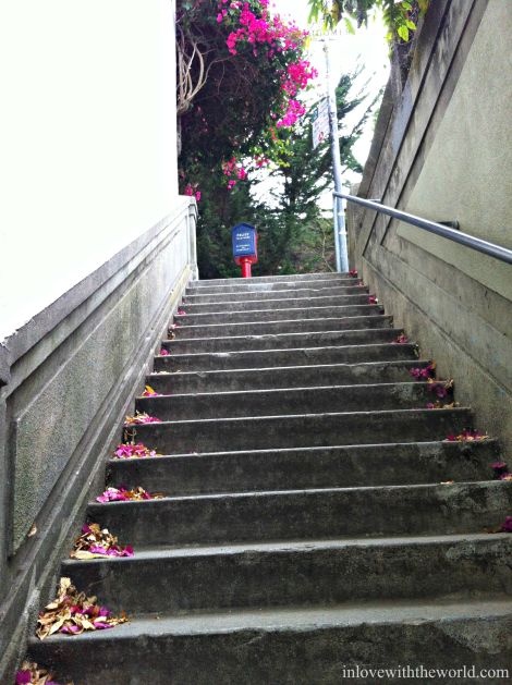 Steps @ Coit Tower | inlovewiththeworld.com