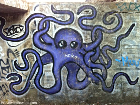 Octopus | inlovewiththeworld.com