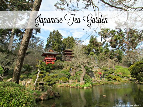 Japanese Tea Garden | inlovewiththeworld.com